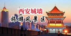 骚逼被几十个男人操视频免费看中国陕西-西安城墙旅游风景区