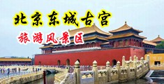 不要插大屌操逼视频中国北京-东城古宫旅游风景区